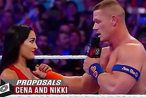 WWE Raw sex be thrilled by Staggering in-ring proposals  WWE Top 10  Nov. 27  2