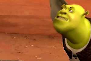 WHAT ARE YOU Bringing about Upon MY SWAMP?