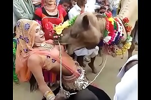 camel sucked boobs of rajasthani girl