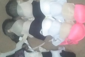 My sister's bras