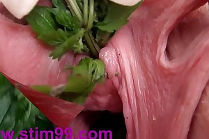 Nettles in peehole urethral insertion nettles &...