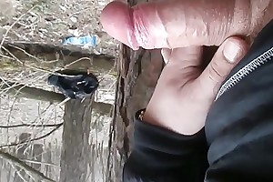 Blowjob wide the forest