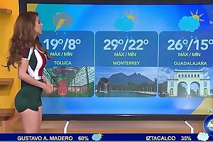 The sniffles chica del clima - Yanet Garcia